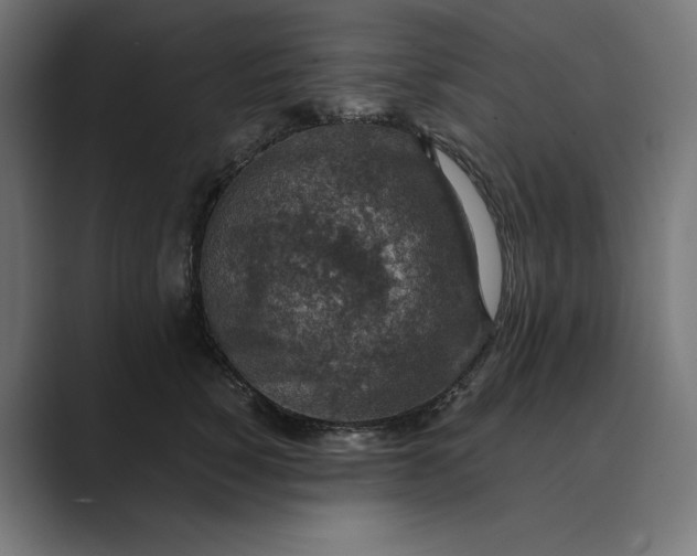 X0000089340760200706291001