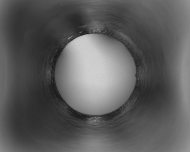 X0000089340761200706291001