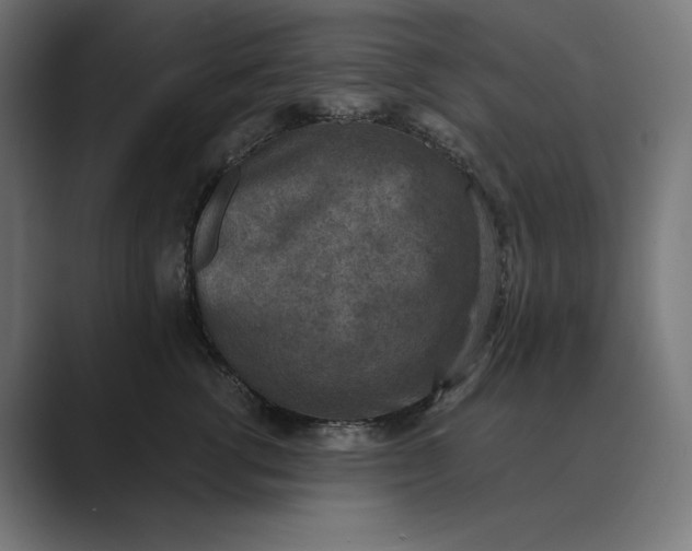 X0000089340762200706291001