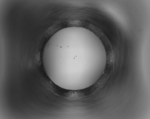 X0000089340764200706291001