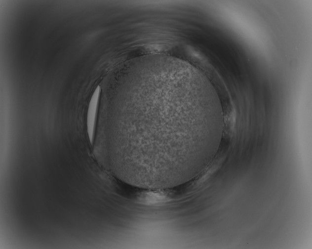 X0000089340765200706291001