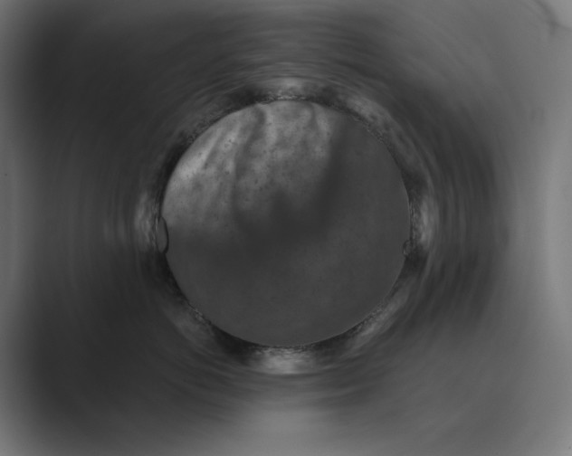 X0000089340766200706291001