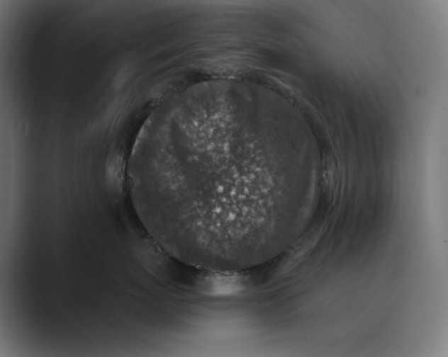 X0000089340767200706291001