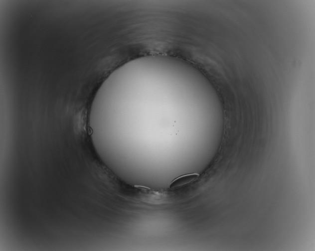 X0000089340768200706291001