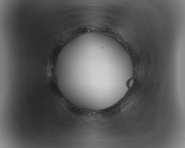 X0000089340770200706291000