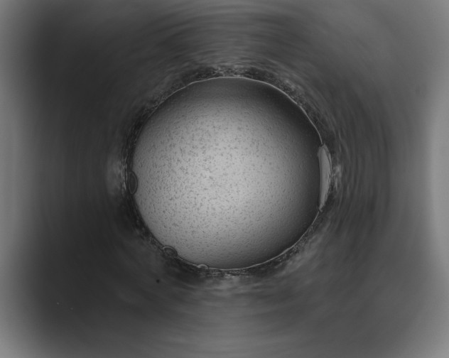 X0000089340772200706291000