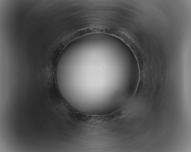 X0000089340773200706291000