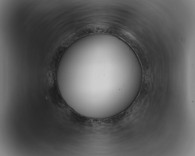 X0000089340774200706291000
