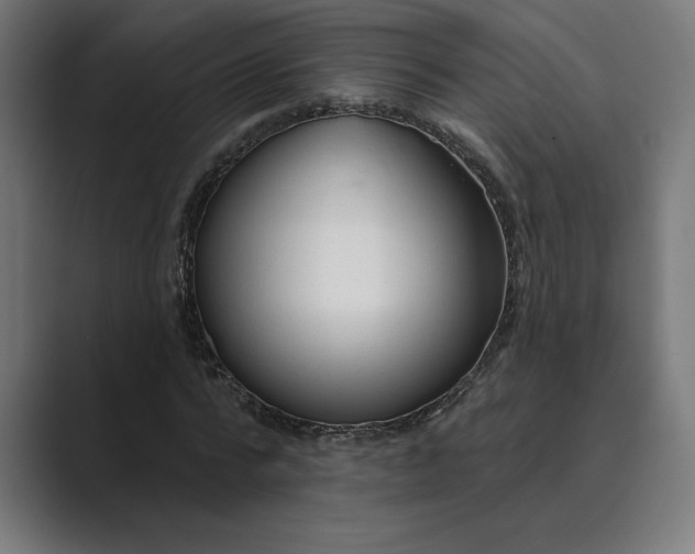 X0000089340776200706291000