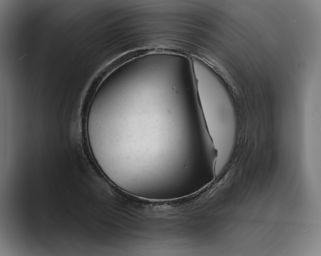X0000089340784200706291000