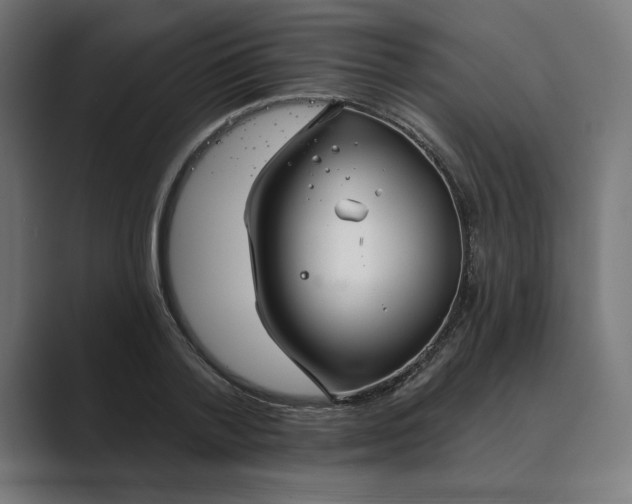 X0000089340788200706291000