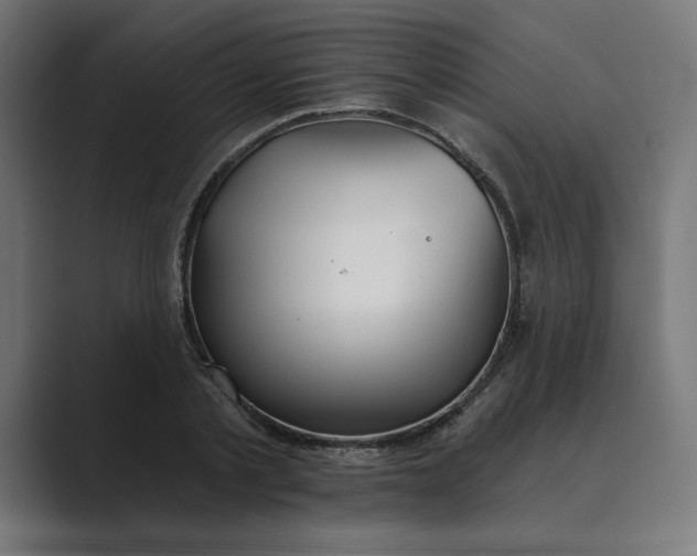 X0000089340789200706291000