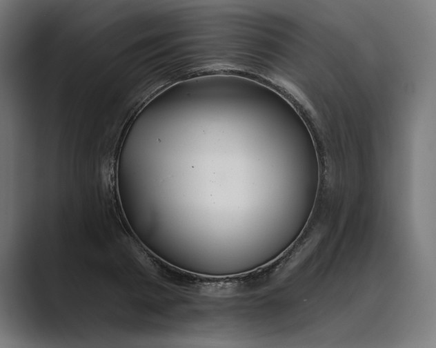 X0000089340793200706291000