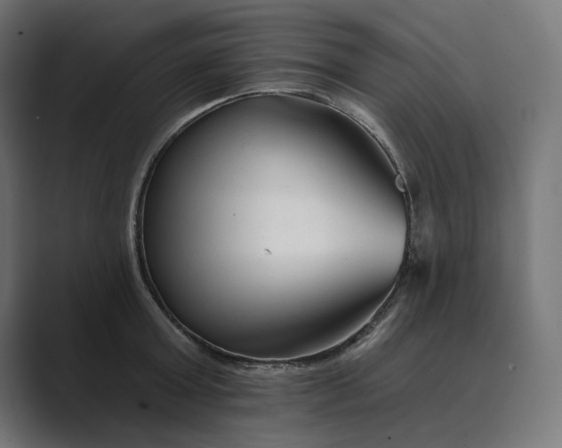 X0000089340803200706291000