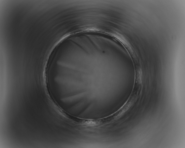 X0000089340806200706291000