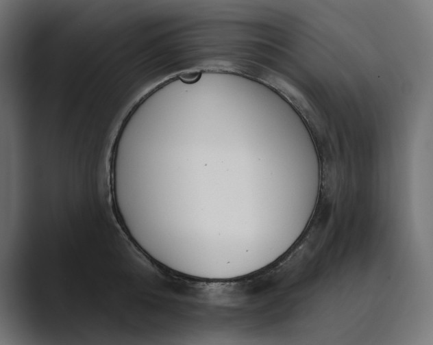 X0000089340808200706291000