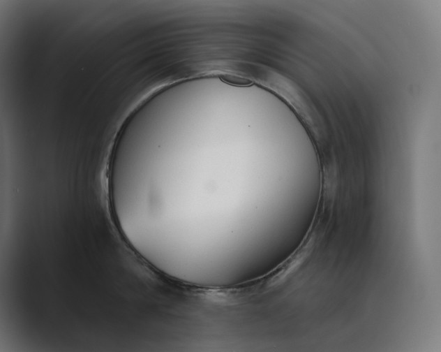 X0000089340814200706291000