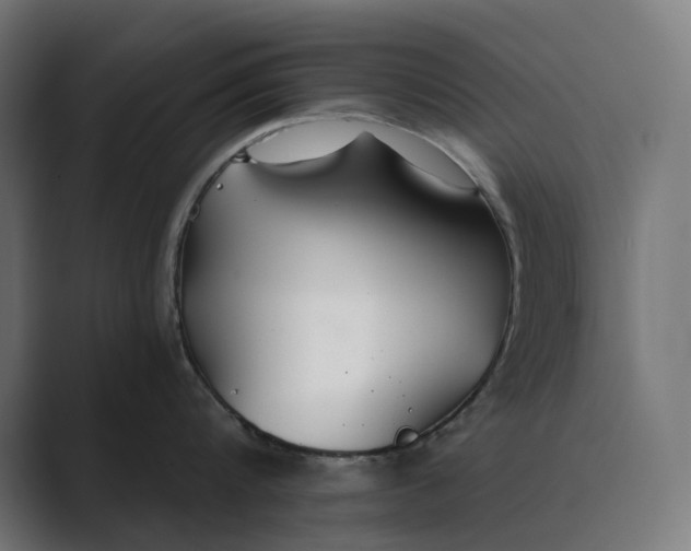 X0000089340816200706291000