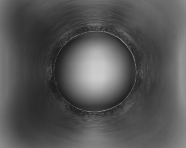 X0000089340821200706290959
