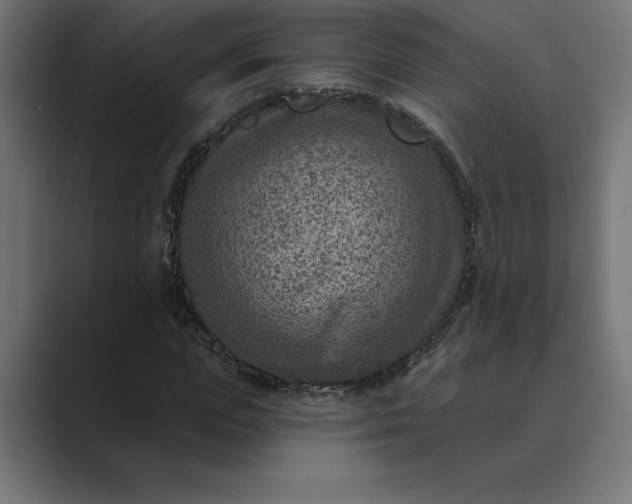 X0000089340823200706290959