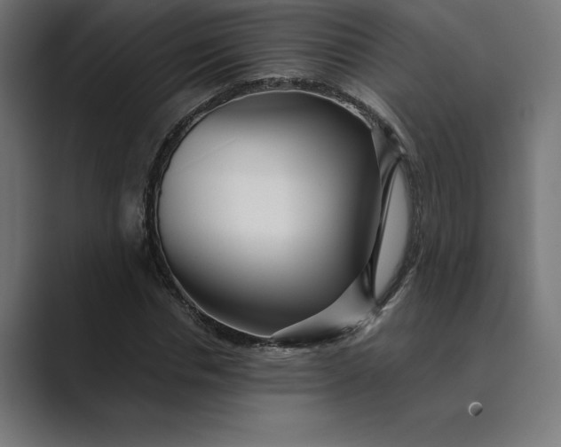 X0000089340826200706290959