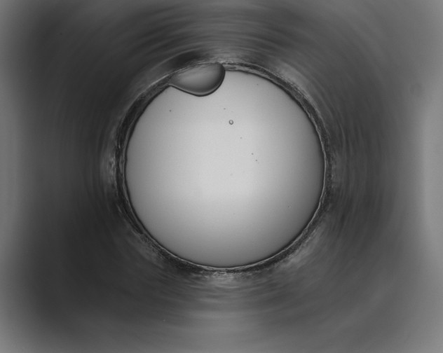 X0000089340827200706290959
