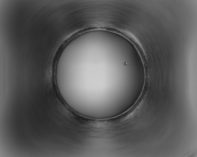 X0000089340831200706290959