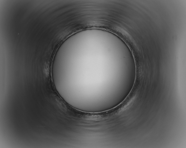 X0000089340833200706290959