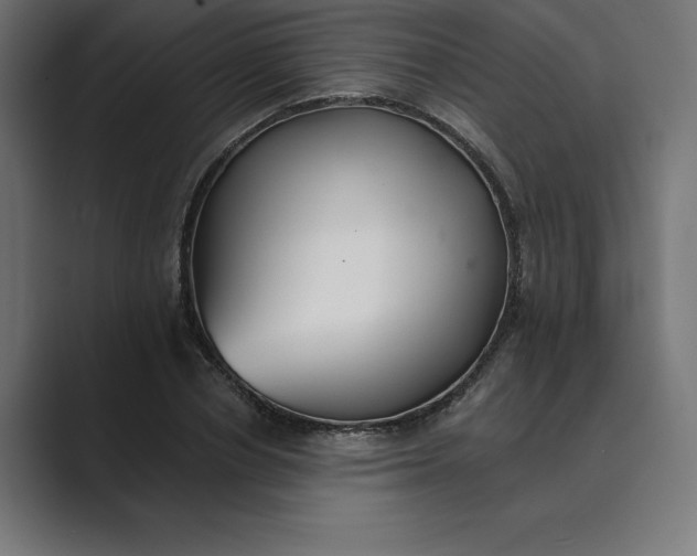 X0000089340834200706290959