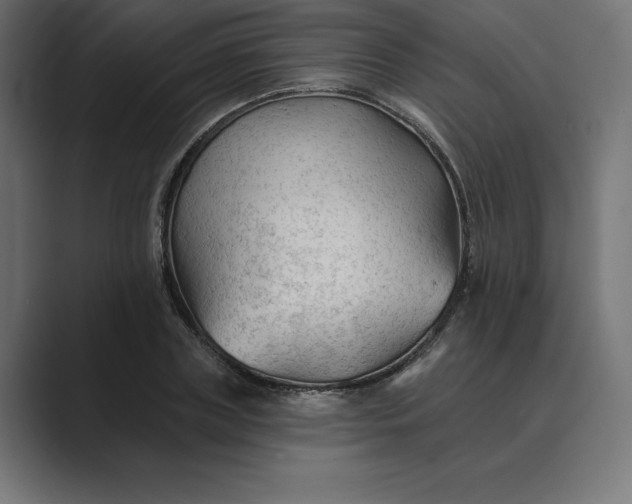 X0000089340835200706290959