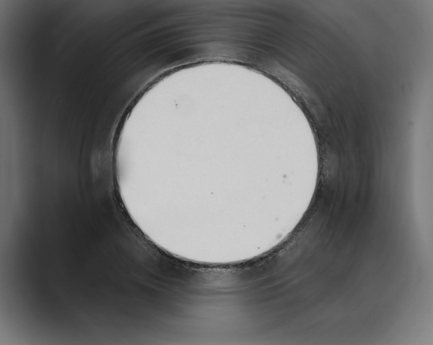 X0000089340836200706290959