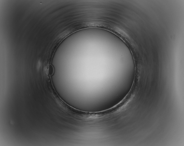 X0000089340841200706291000
