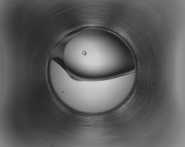 X0000089340842200706291000