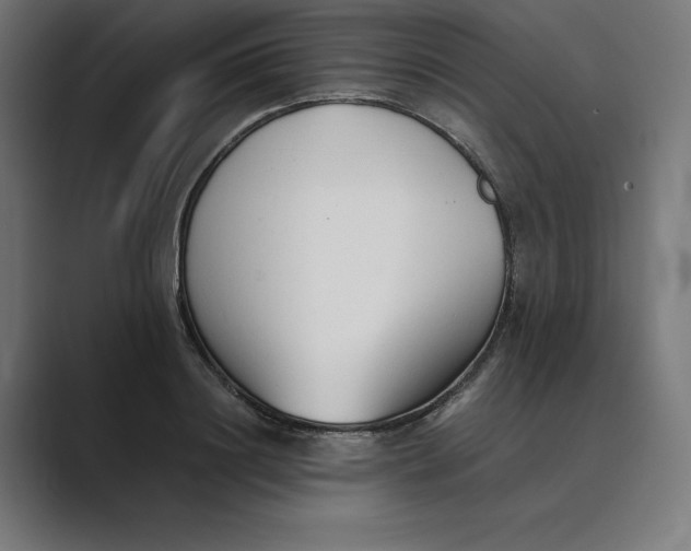 X0000089340844200706291000