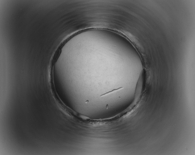 X0000089340846200706291000