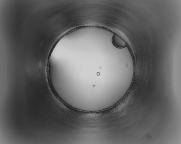 X0000089340847200706291000