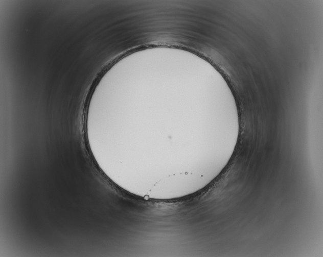 X0000089340848200706291000