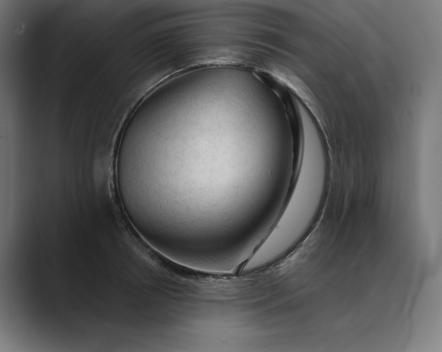 X0000089340850200706291000