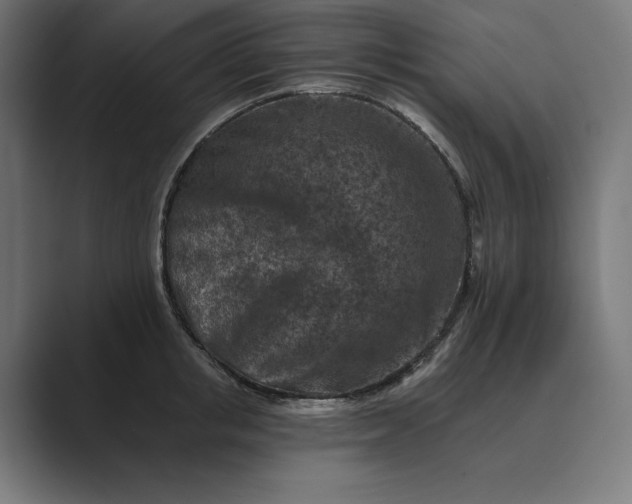 X0000089340853200706291000