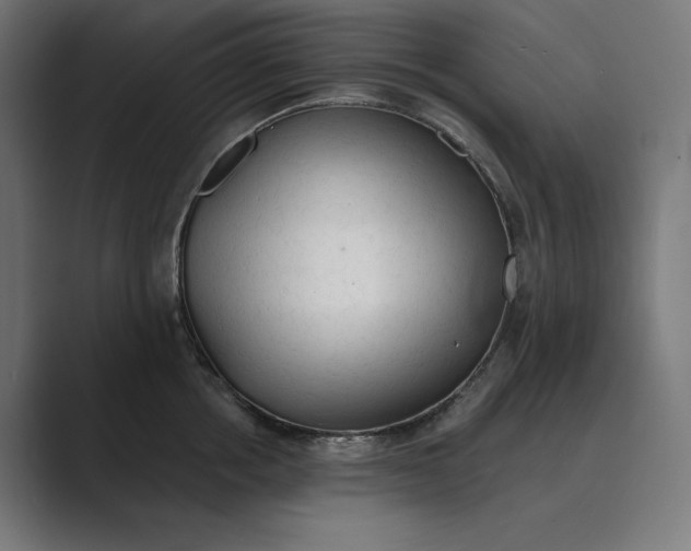 X0000089340858200706291000