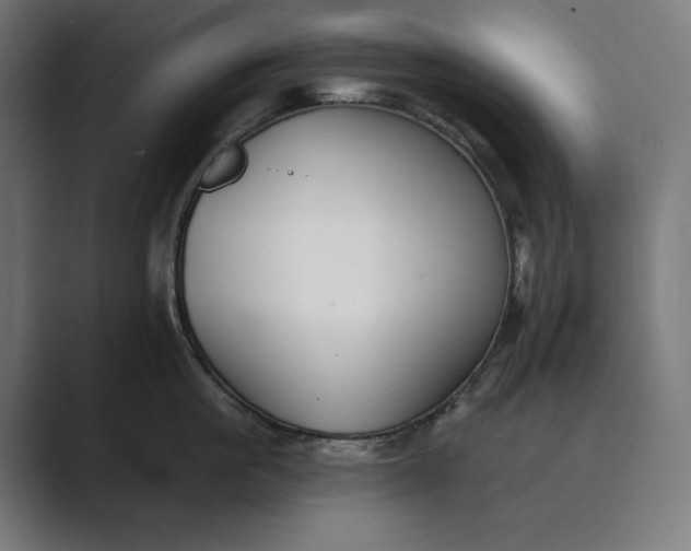 X0000089340861200706291000