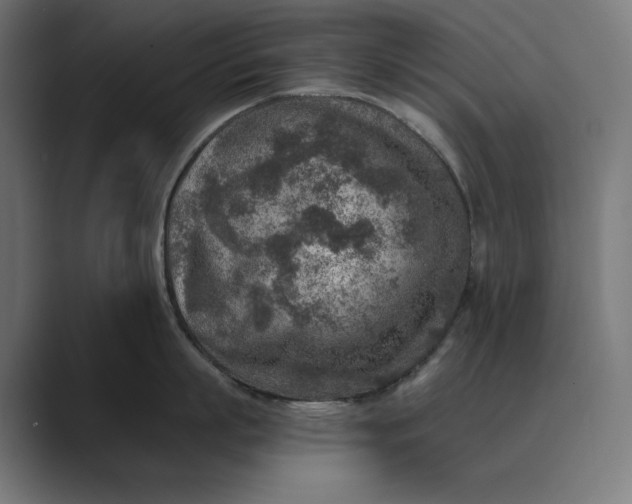 X0000089340863200706291000