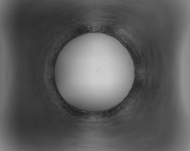 X0000089340865200706290959