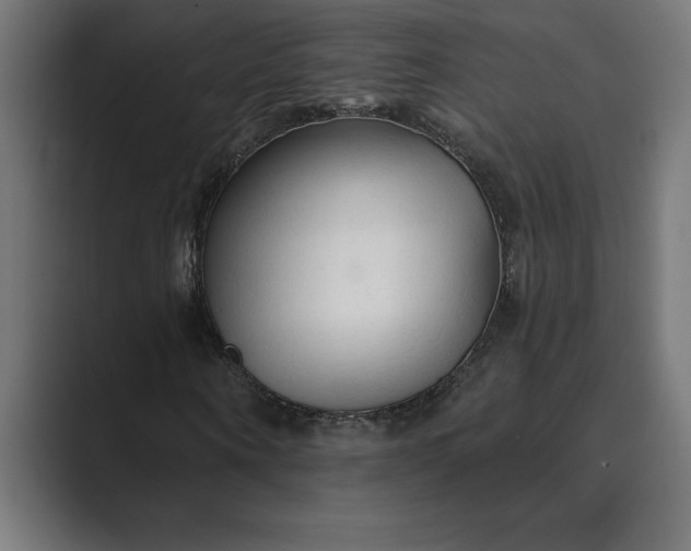 X0000089340866200706290959