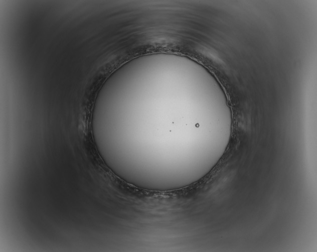 X0000089340869200706290959