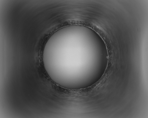 X0000089340870200706290959