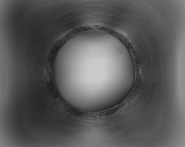 X0000089340871200706290959
