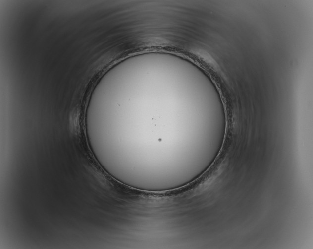 X0000089340873200706290959