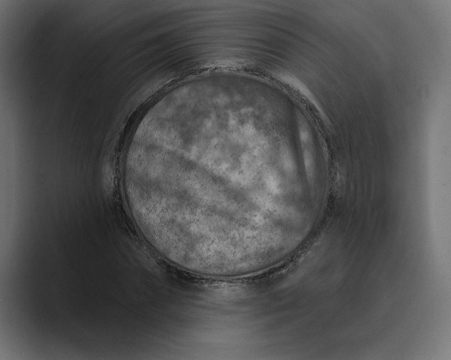 X0000089340874200706290959
