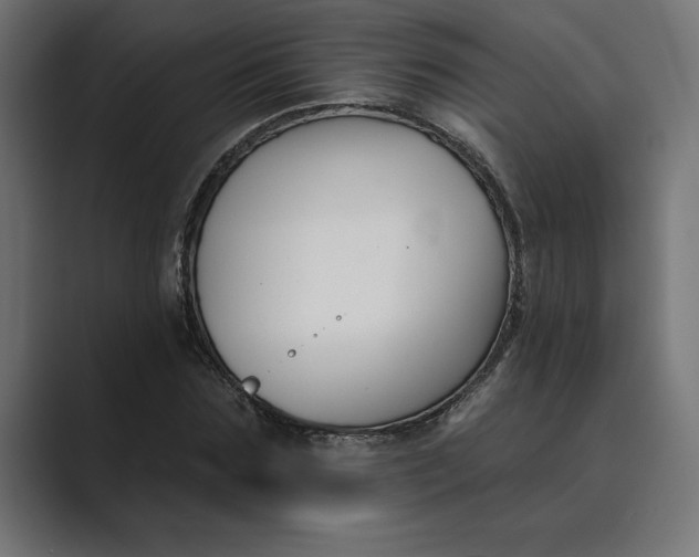X0000089340875200706290959